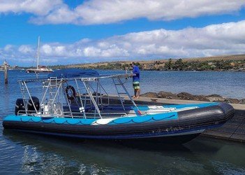 Semi-Private 3 Hour Eco-Raft Maui Turtle Snorkel f4