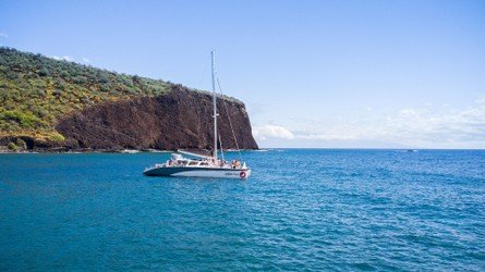 West Maui Snorkel & Sail image