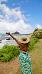 Full Day Vip Road To Hana Private Tour With Pickup F-2