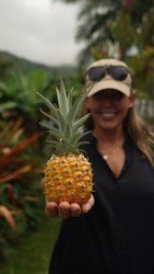 Full Day Vip Road To Hana Private Tour With Pickup F-8