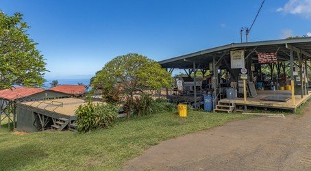 Kona Cruise Ship Guest Special - Kona Historical Tour f-1