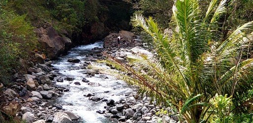 Private Deluxe Hana Tour f-3