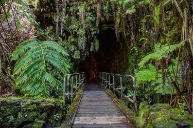 Turtles- Big Island Grand Circle Island Tour f-2