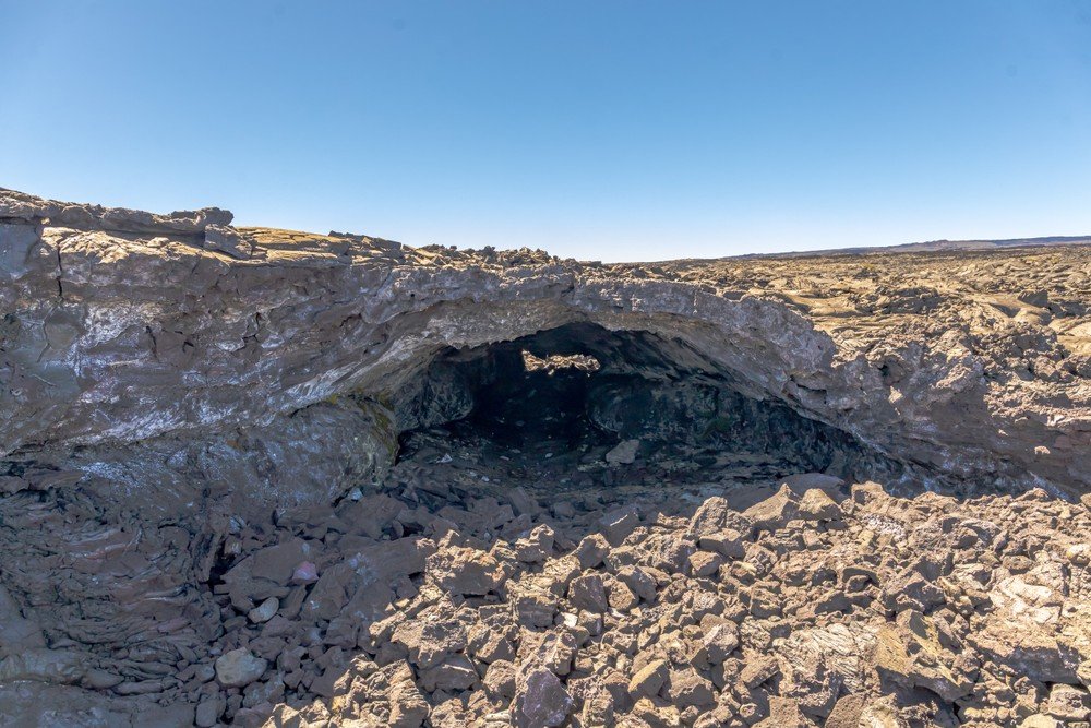 Kona Cruise Ship Guest Special feature 2