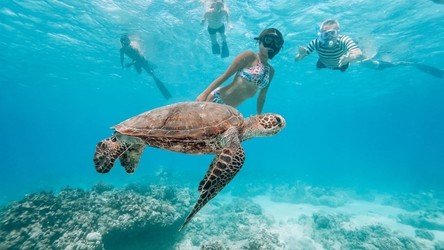 AllStar Oahu Circle Island Tour f-13