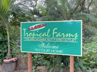 AllStar Oahu Circle Island Tour f-5