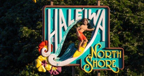 Complete Island Adventure with Waterfall f-7