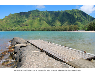 Kayaking Rainforest River on Oahu, Kahana River f-2