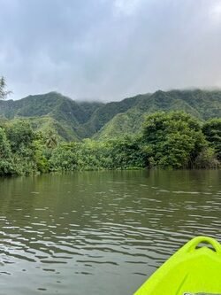 Kayaking Rainforest River on Oahu, Kahana River f-3