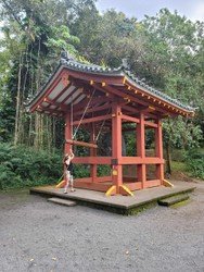 Next-Level Oahu Circle Island Tour f-3