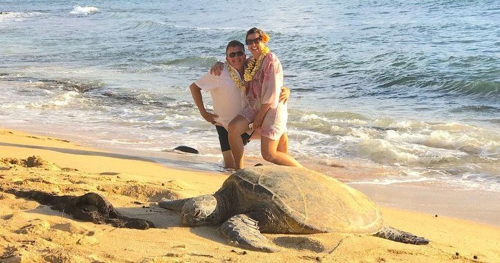 Oahu Circle Island Tour – Full Day (9HR)-image