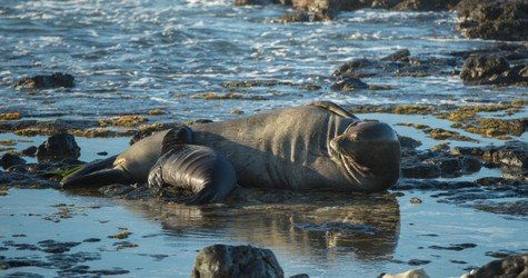 Sunrise Tour with Malasadas f-4