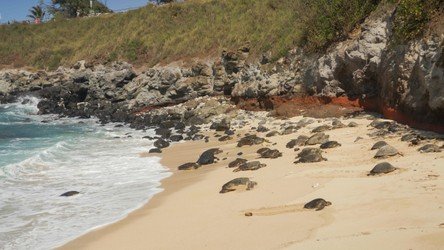 Waterfall_RoadToHana_Maui f-12