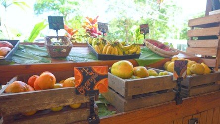 Waterfall_RoadToHana_Maui f-8