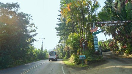 Waterfall_RoadToHana_Maui f-9