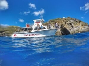 Wreck & Reef Tour f-12